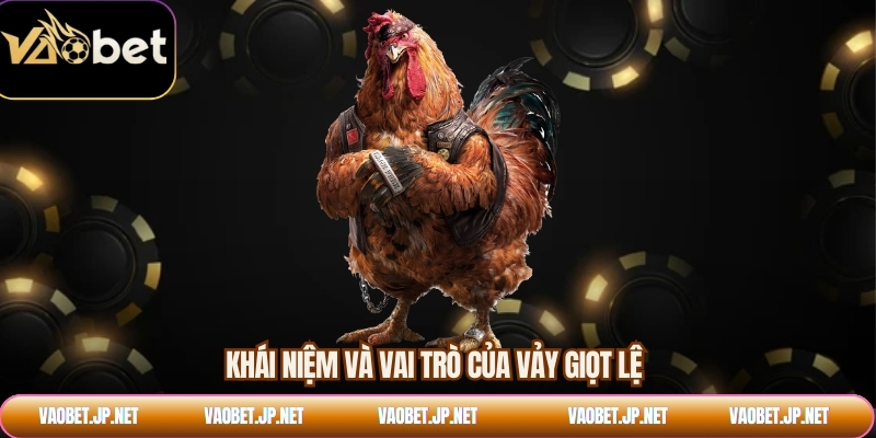 Khái niệm và vai trò của vảy giọt lệ