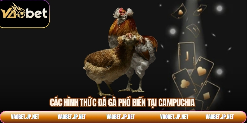 Các hình thức đá gà phổ biến tại Campuchia