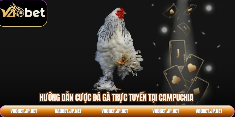 Hướng dẫn cược đá gà trực tuyến tại Campuchia